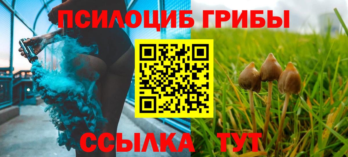 Выкса  Галлюциногенные грибы Psilocybe  Псилоцибиновые грибы Cubensis  Вход с VPN 