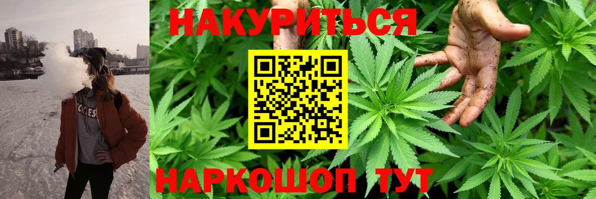 Бошки Шишки семена Выкса